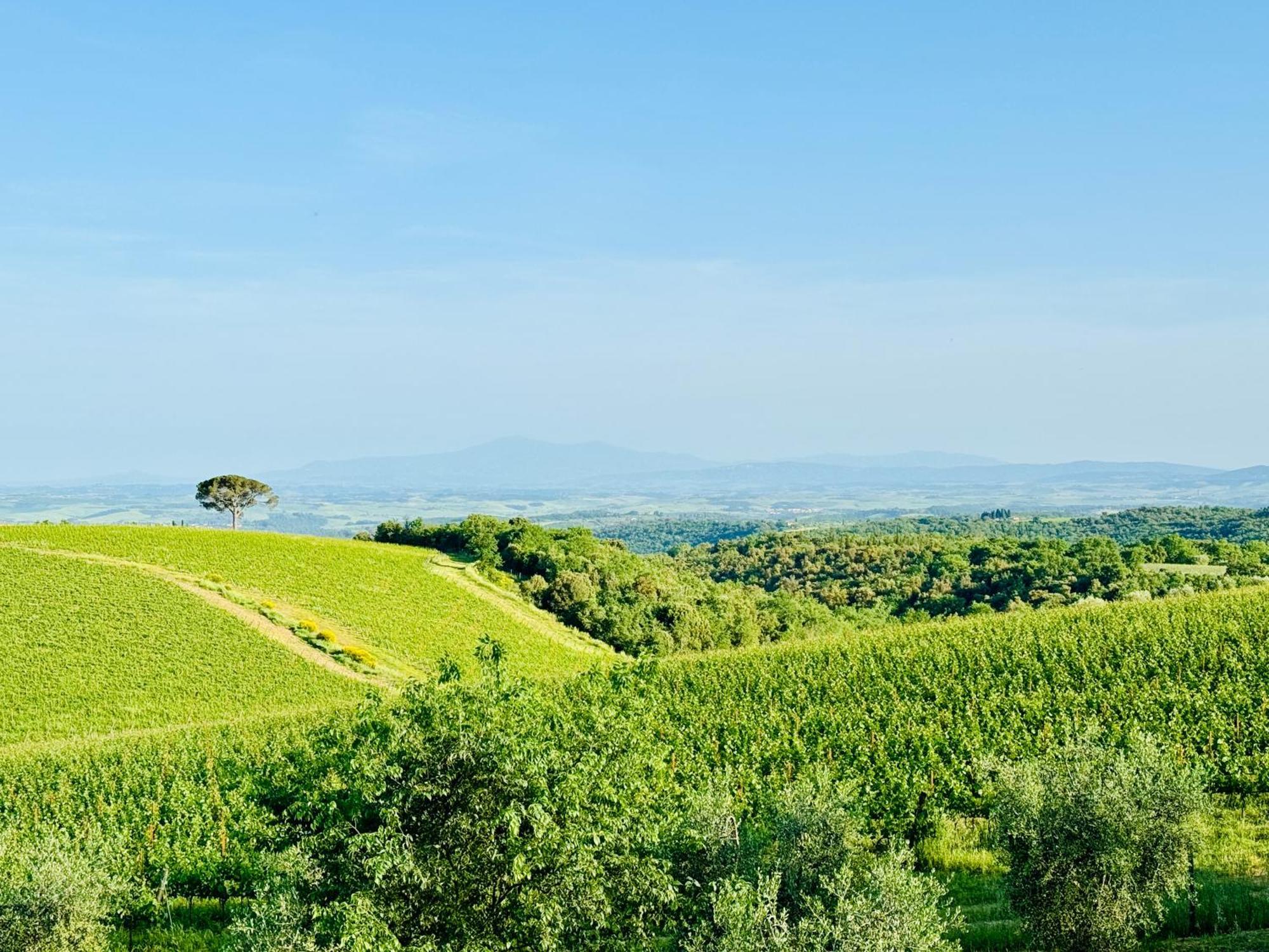 Villa Clara in Chianti 15min from Siena San Sano Esterno foto