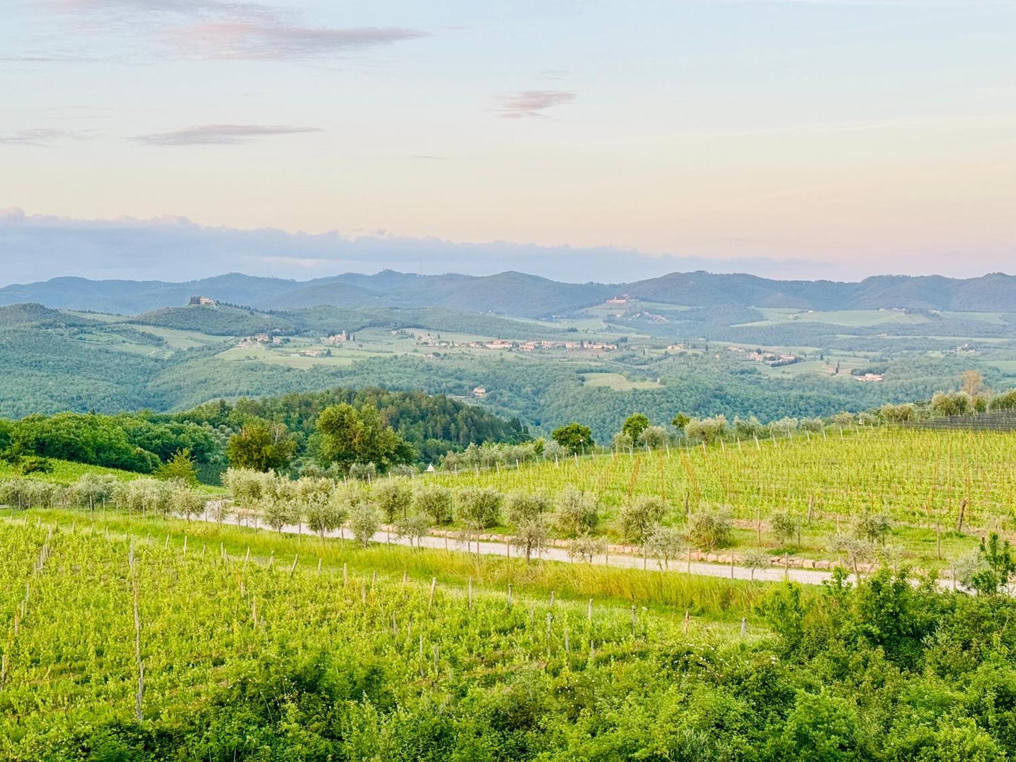 Villa Clara in Chianti 15min from Siena San Sano Esterno foto